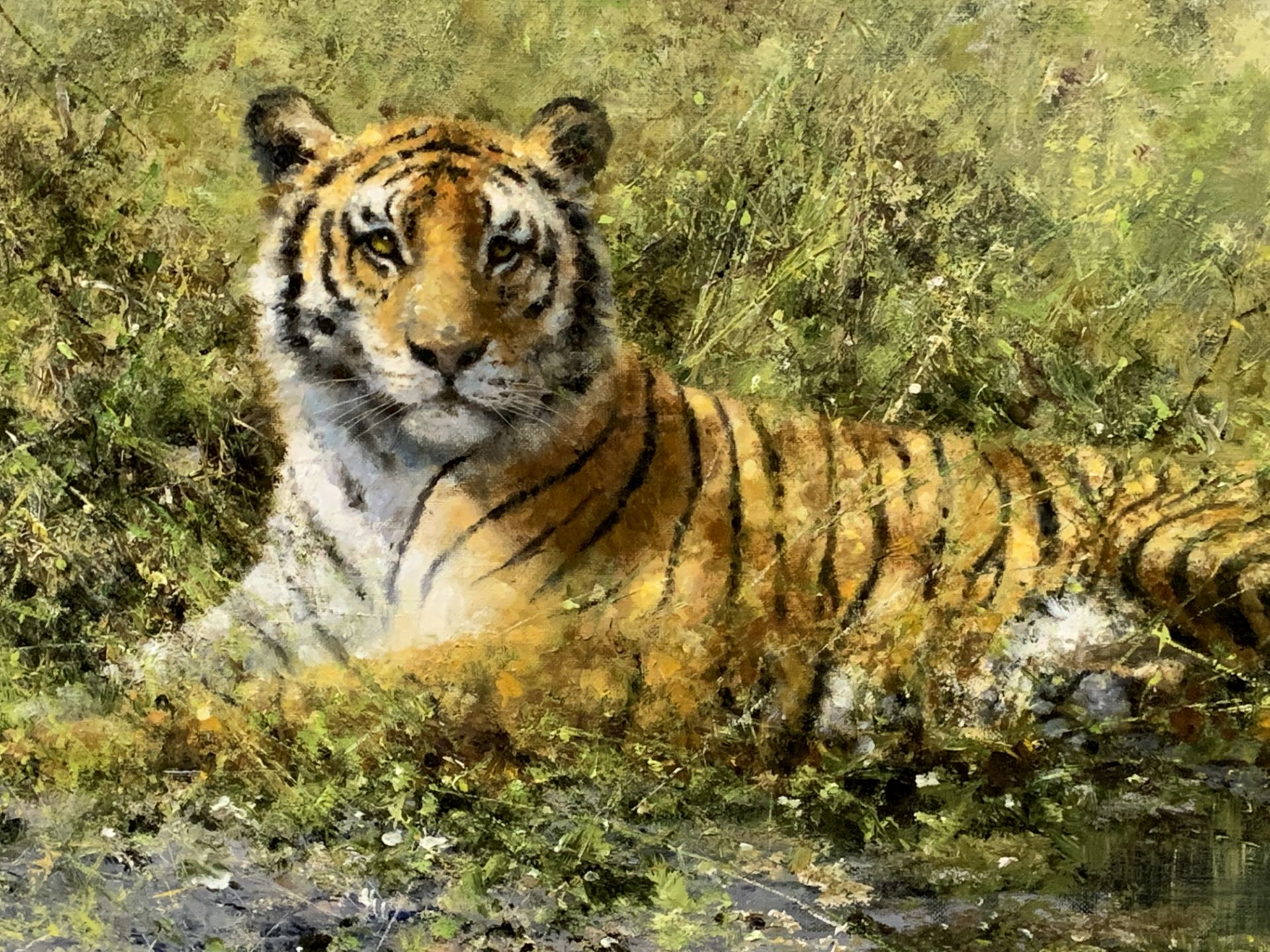 David Shepherd CBE, FRSA, FGRA (1931-2017). Framed original oil on canvas of a Tiger - Image 6 of 8