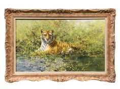 David Shepherd CBE, FRSA, FGRA (1931-2017). Framed original oil on canvas of a Tiger