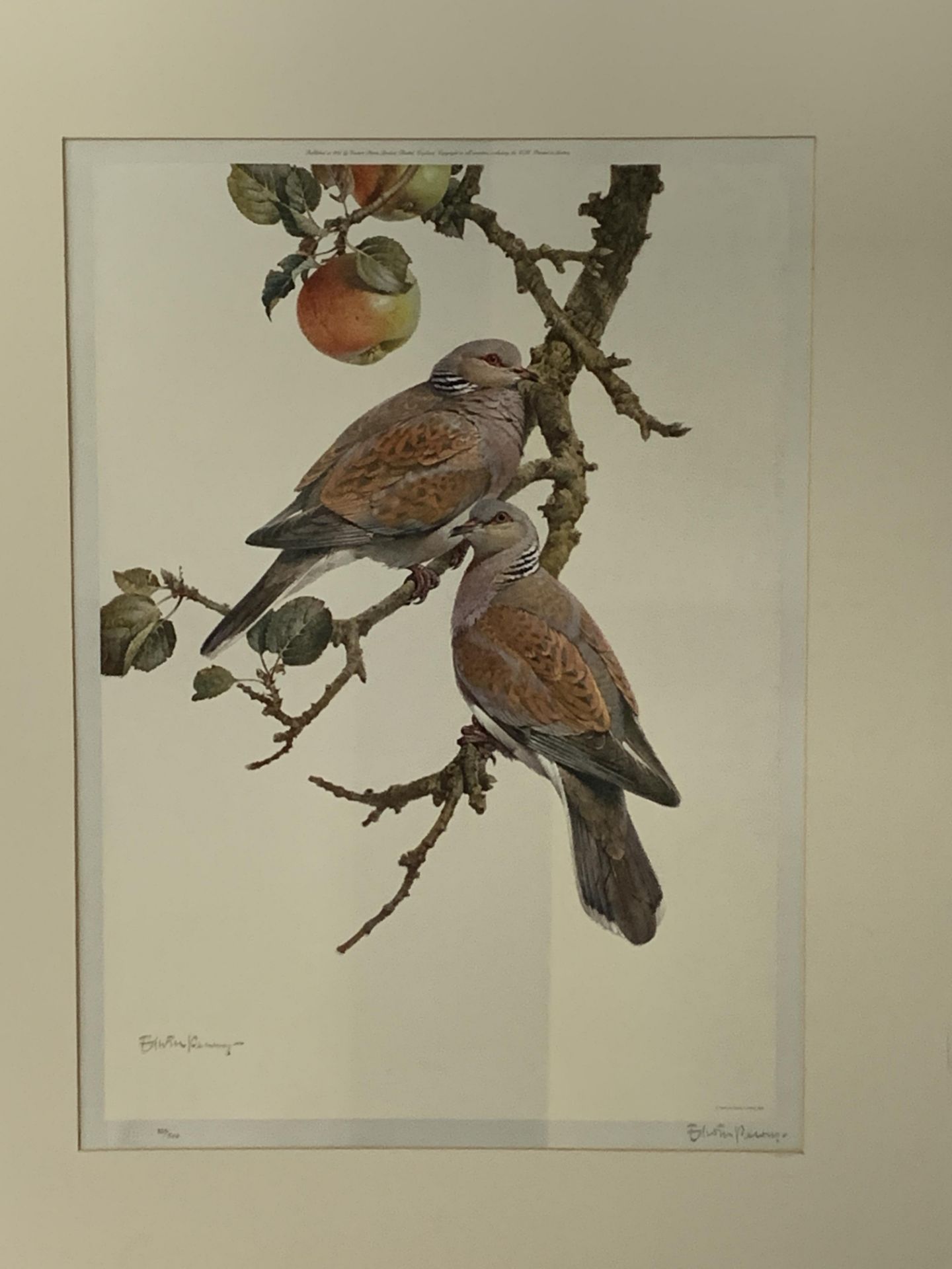 A limited edition print of birds, a watercolour and other prints - Bild 2 aus 6