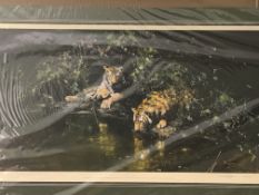 Limited edition print 'Tiger Haven', by David Shepherd, 100/1000