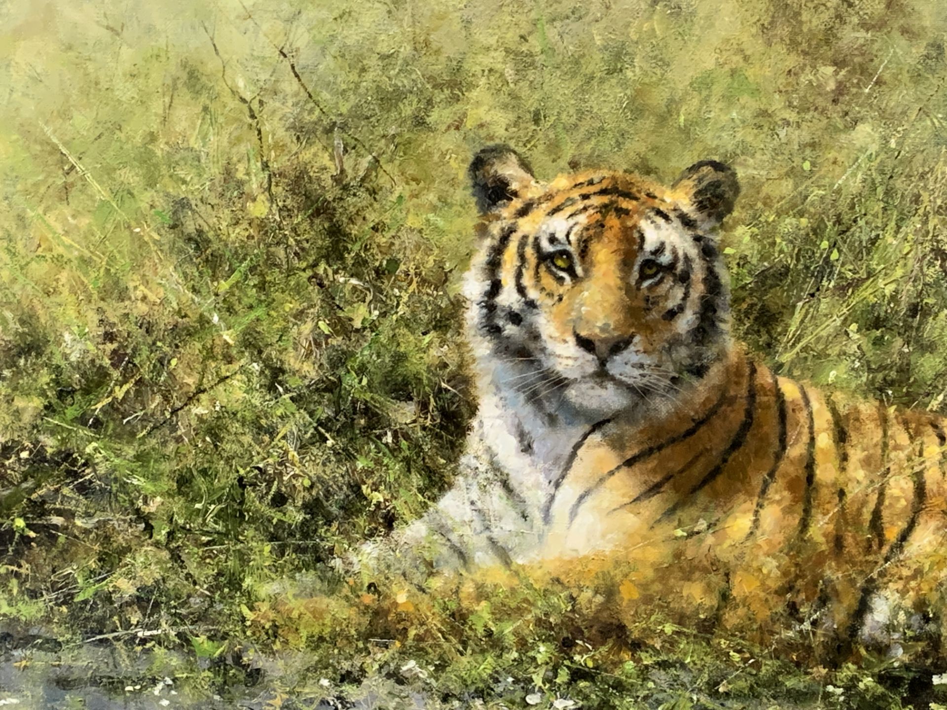 David Shepherd CBE, FRSA, FGRA (1931-2017). Framed original oil on canvas of a Tiger - Image 7 of 8