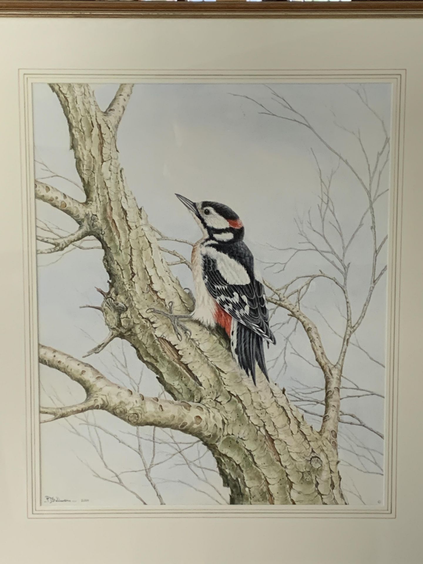 Framed and glazed watercolour of a woodpecker, together with two others - Bild 2 aus 3