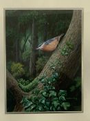 Gilt framed and glazed acrylic of a Nuthatch, together with two others