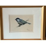 Two framed and glazed paintings of birds