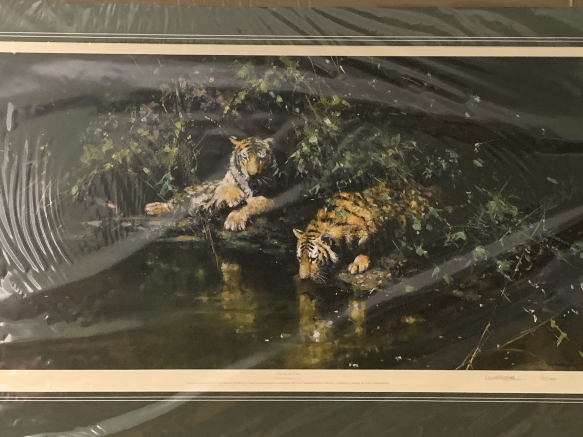 Limited edition print 'Tiger Haven', by David Shepherd, 100/1000 - Image 2 of 4