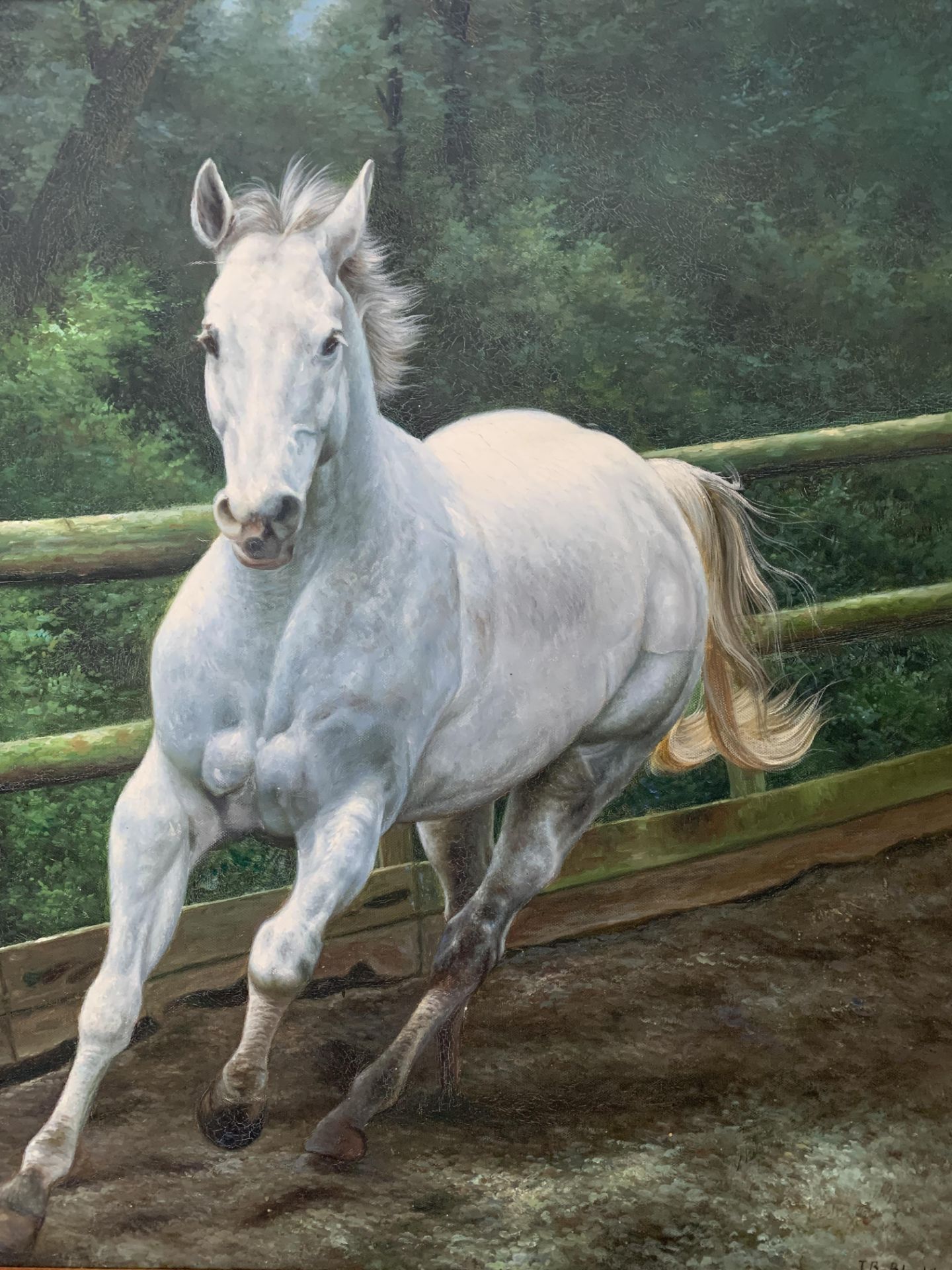 Gilt framed oil on canvas of a grey horse, signed J Blackburn - Image 4 of 4