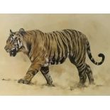 Framed and glazed painting 'Panthera Tigris' signed Mandy Shepherd