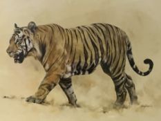 Framed and glazed painting 'Panthera Tigris' signed Mandy Shepherd
