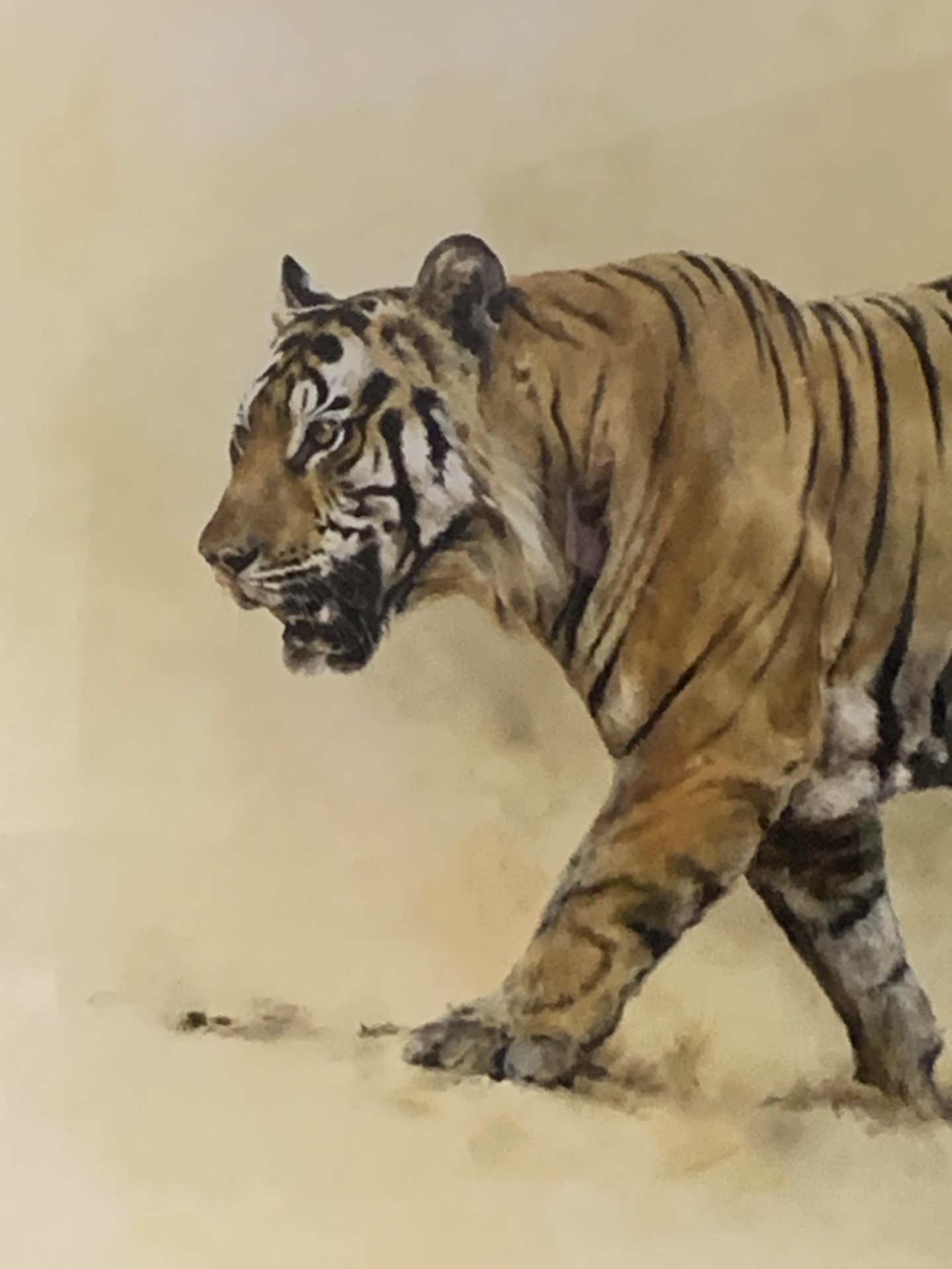 Framed and glazed painting 'Panthera Tigris' signed Mandy Shepherd - Image 4 of 4