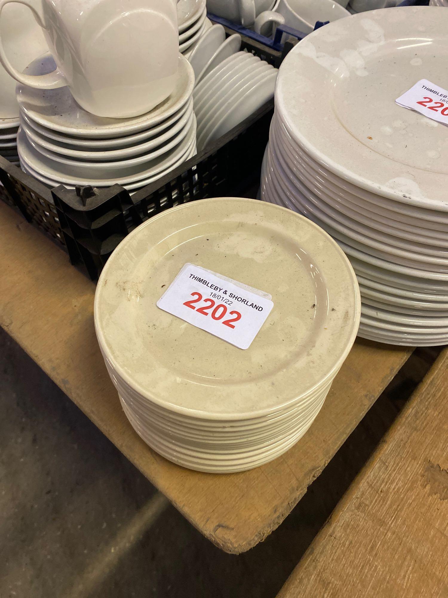 20 plates