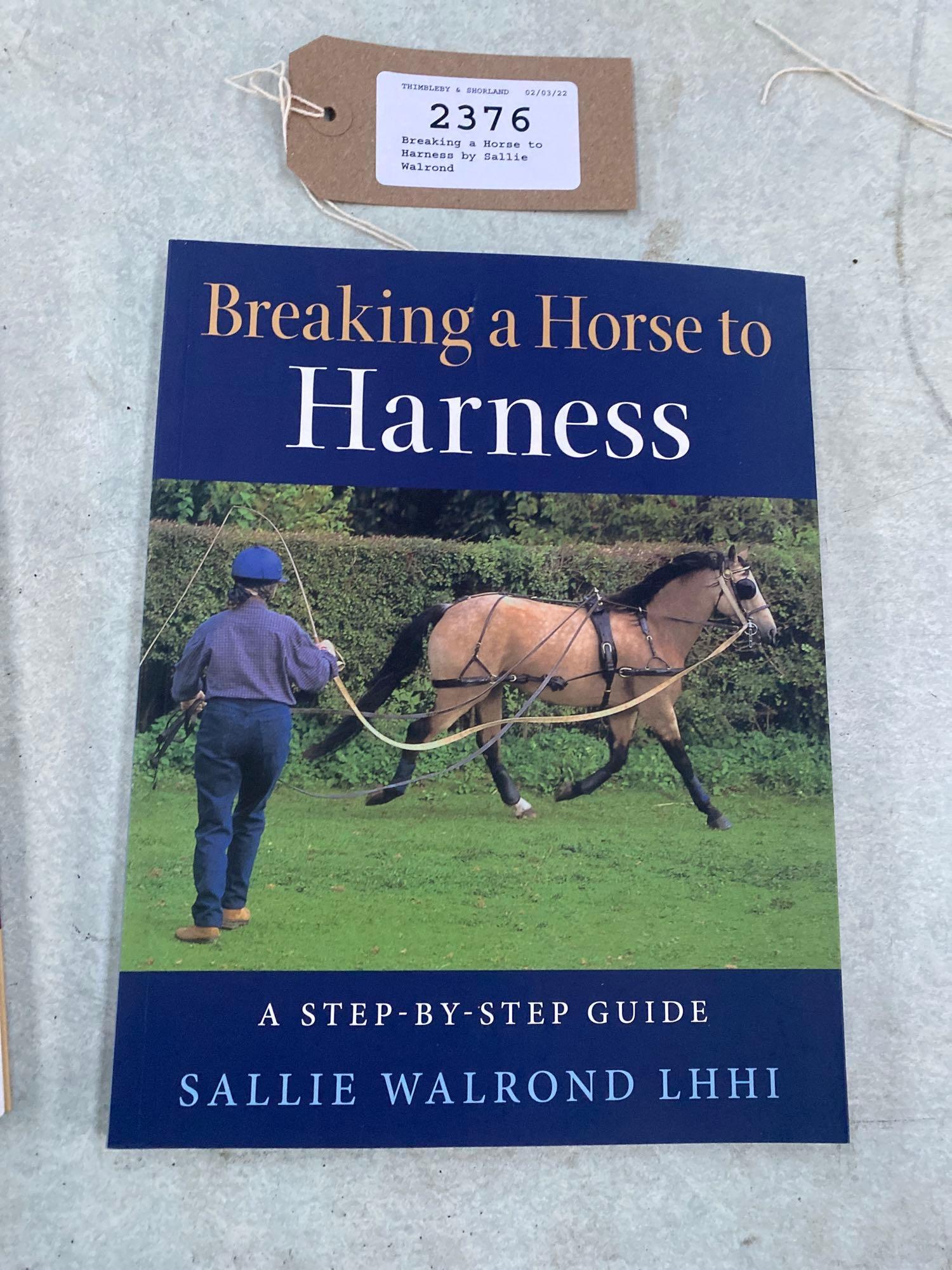 Breaking a Horse to Harness by Sallie Walrond