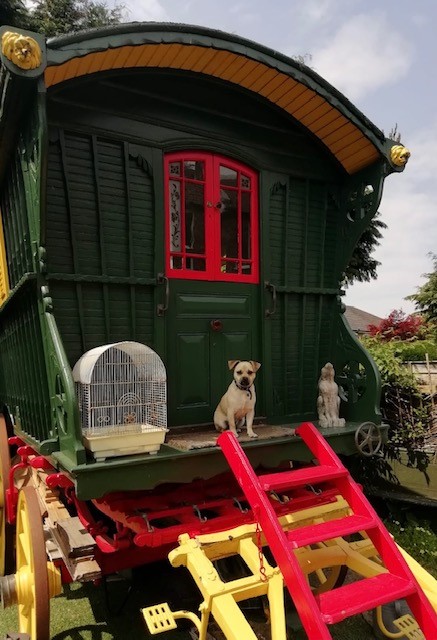 READING or KITE WAGGON built by Percival Jones of Oxford in 1906/7 - Image 30 of 30