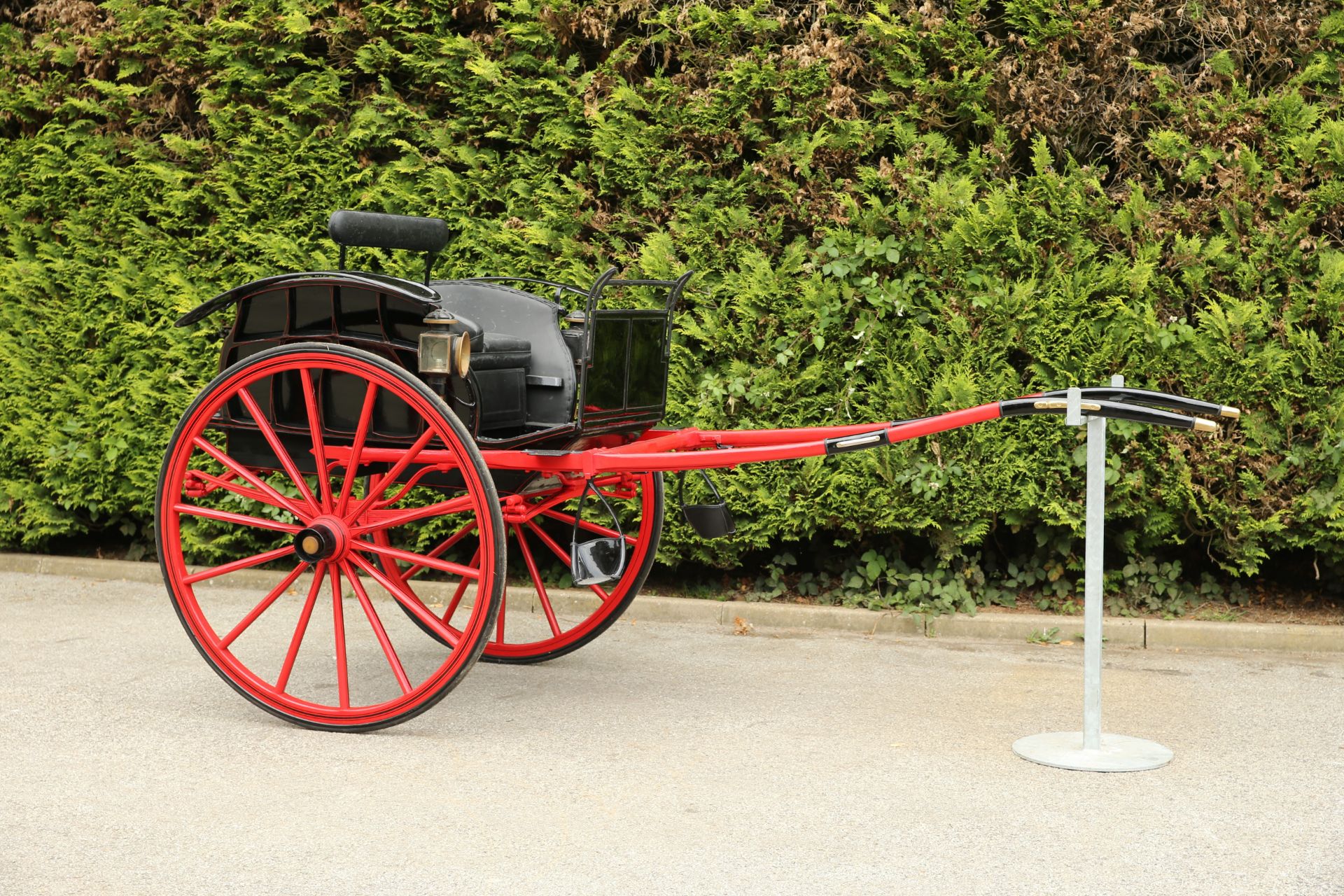 ALEXANDRA DOG CART by Peters & Sons
