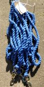 Ten lead ropes