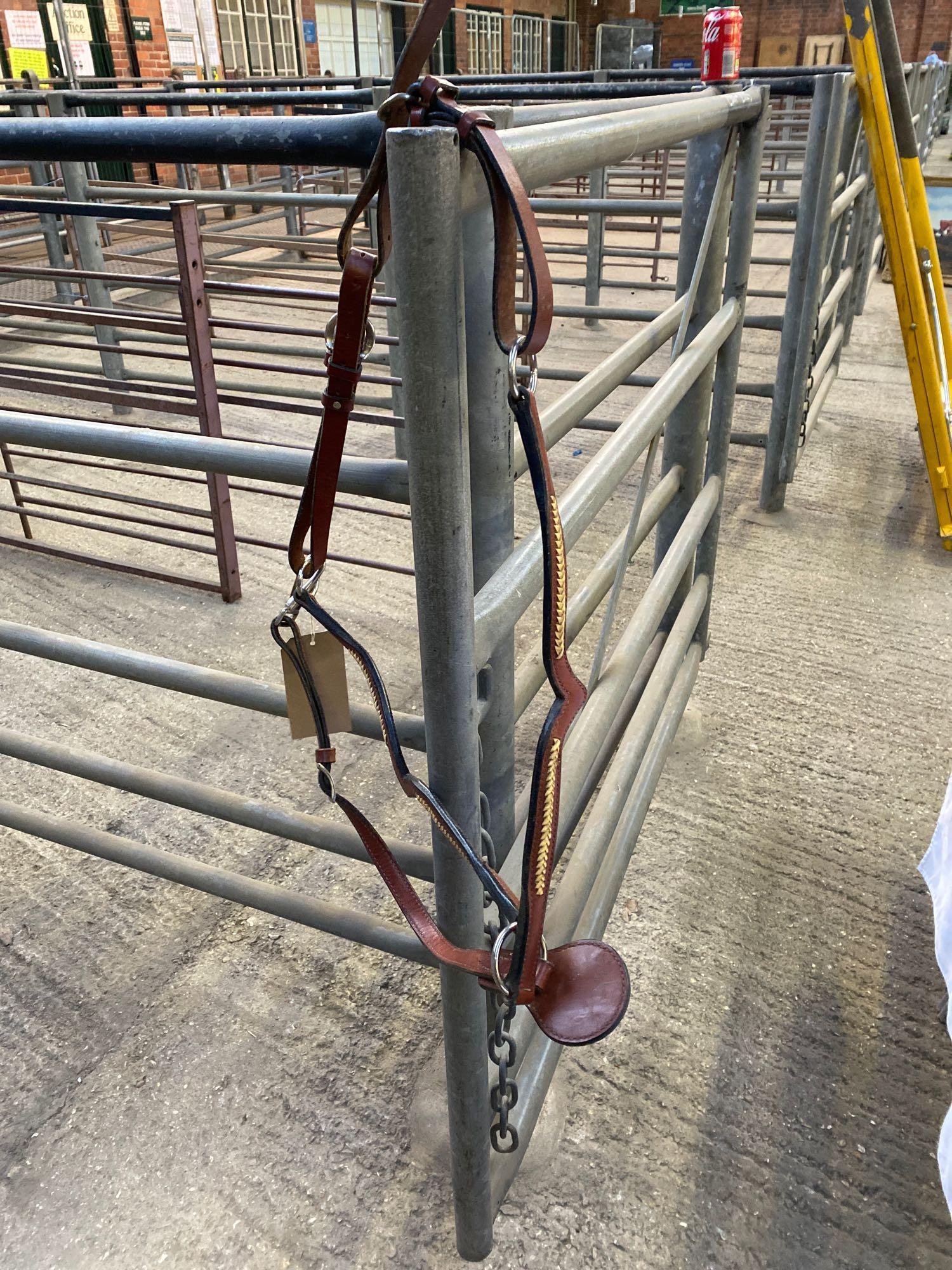 Western saddle, 2 Western bridles, martingale, and hitching reins - Image 5 of 6