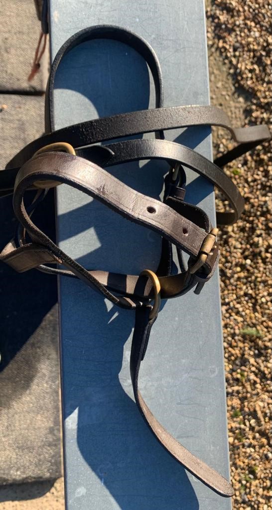 Leather foal slip, and a show rein with brass fittings.