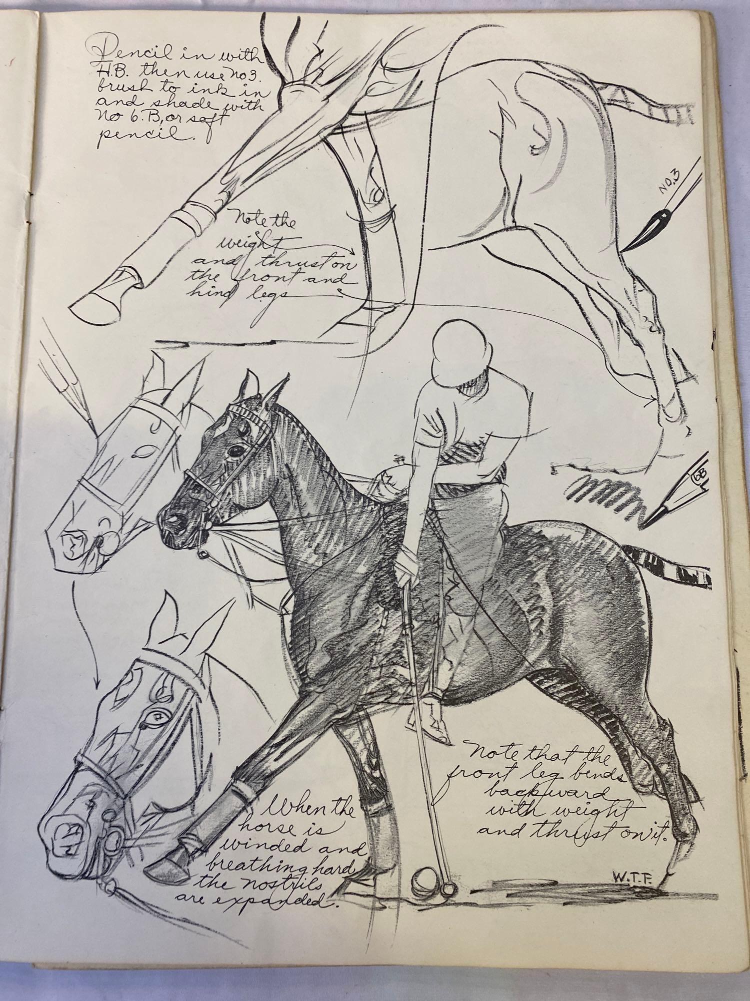 How to Draw Horses by Walter Foster, published in the USA. Covers and some parts loose - Image 2 of 3