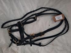 Leather head collar & plaited leather reins.