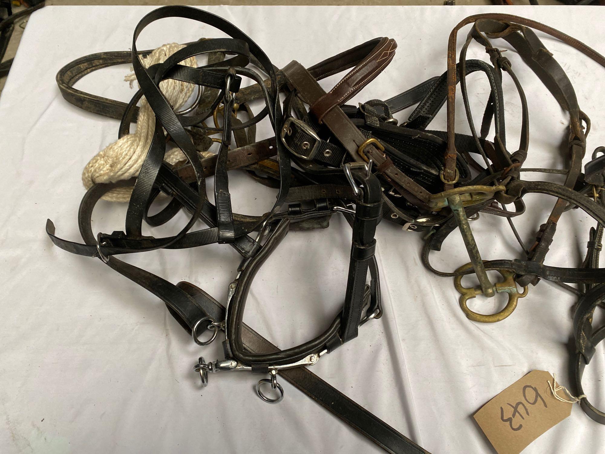 Quantity of assorted tack, including a large qty of stirrup irons - Image 5 of 5