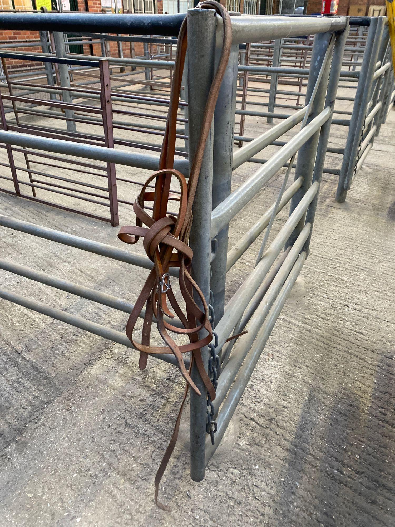 Western saddle, 2 Western bridles, martingale, and hitching reins - Image 6 of 6