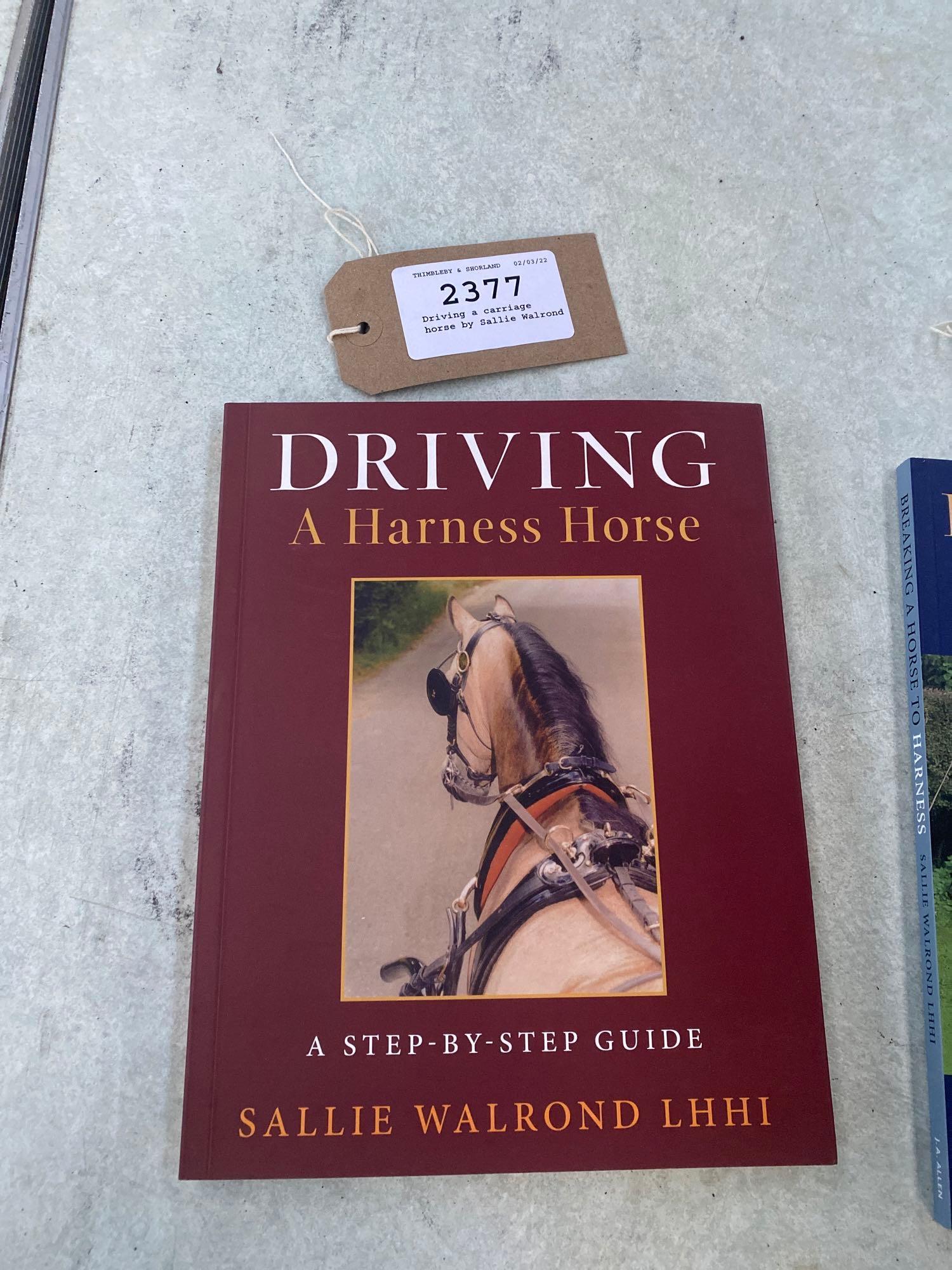 Driving a carriage horse by Sallie Walrond