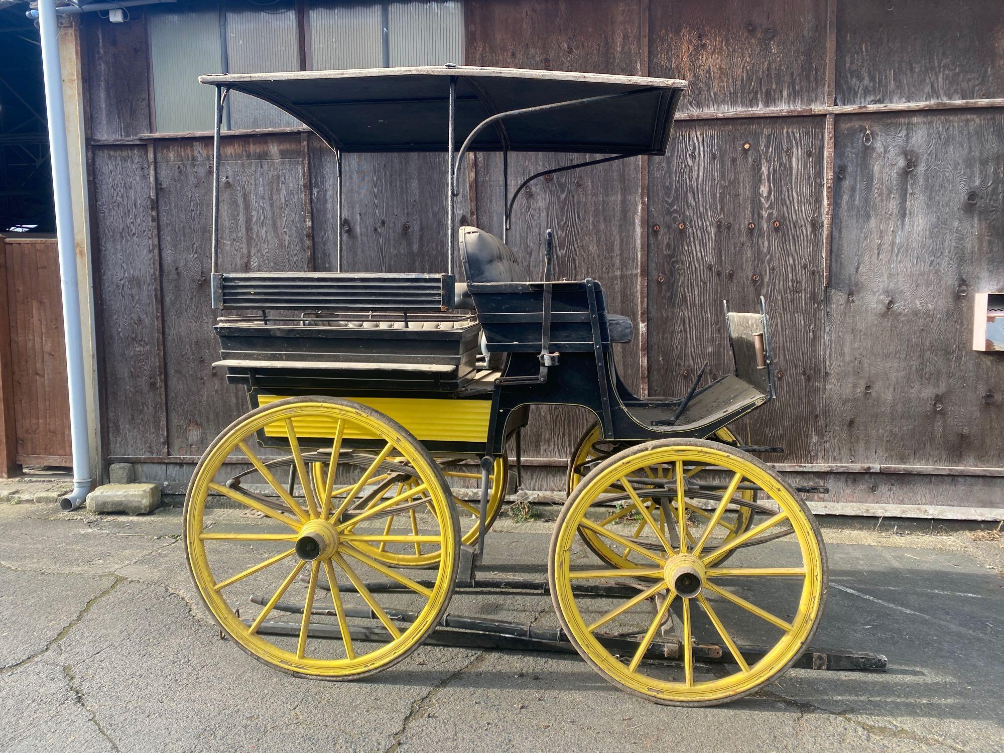 WAGONETTE - Image 4 of 7