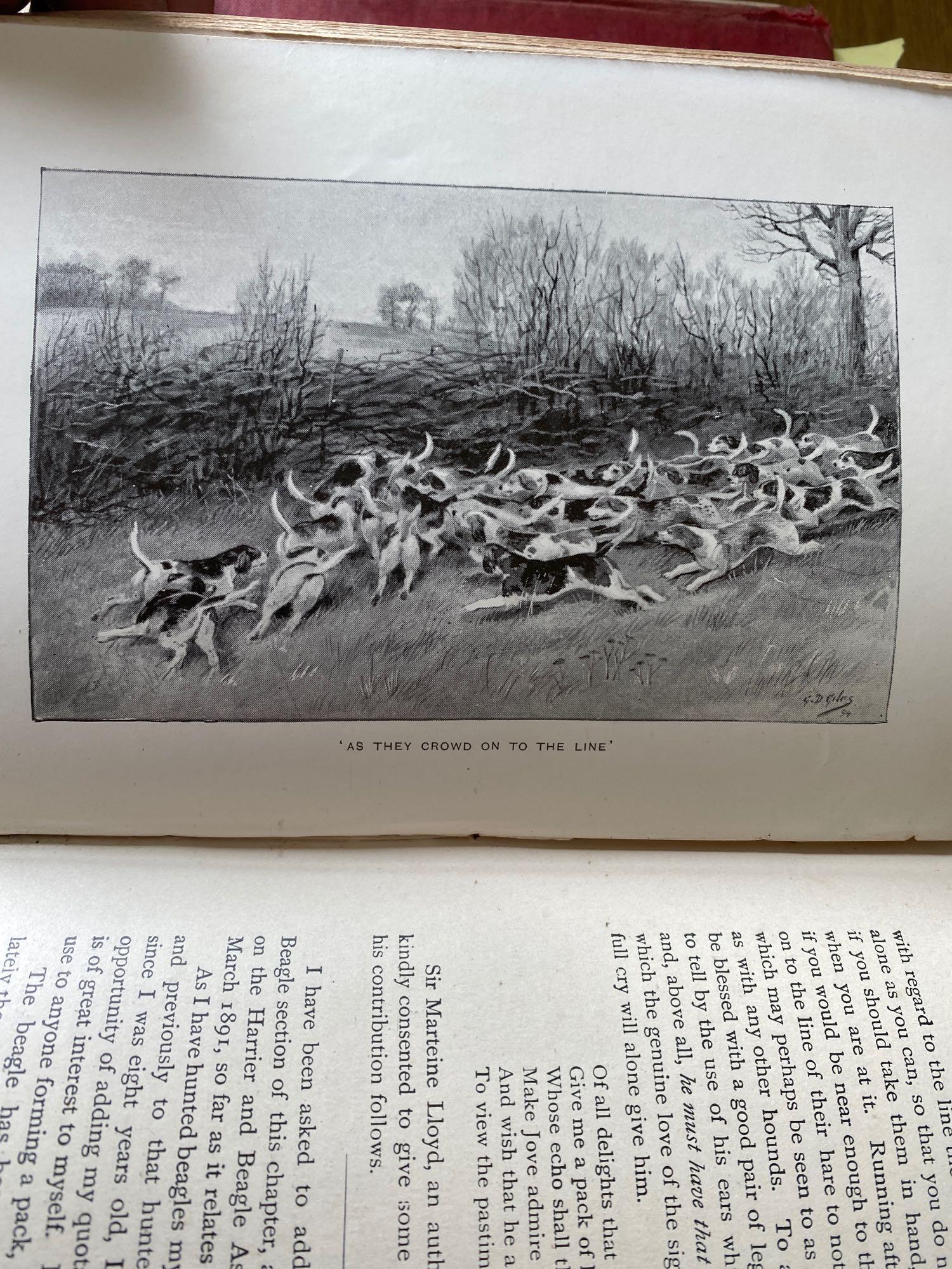 Hunting, Badminton Library edition 1901; and "The Analysis of the Hunting Field", 1904 - Image 6 of 7