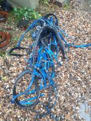 Set of blue Biothane cob size harness