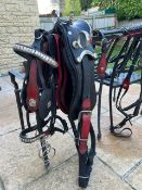 Set of Giddens single trade harness to fit 14 to 15hh