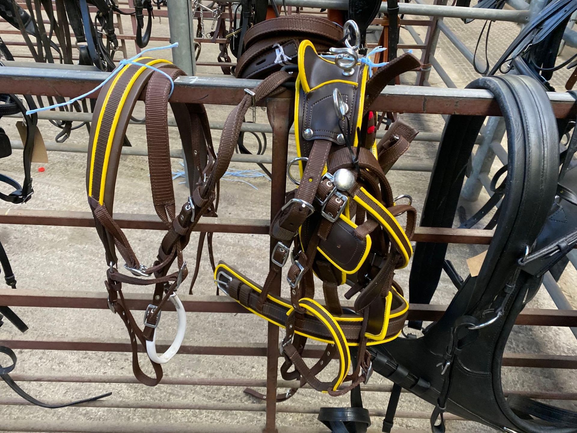 Set of mini Shetland webbing harness, brown with yellow trim. This lot carries VAT