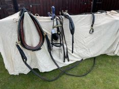 Set of black/patent/brass show harness to fit 13-14hh