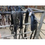 Set of Zilco harness. This lot carries VAT.