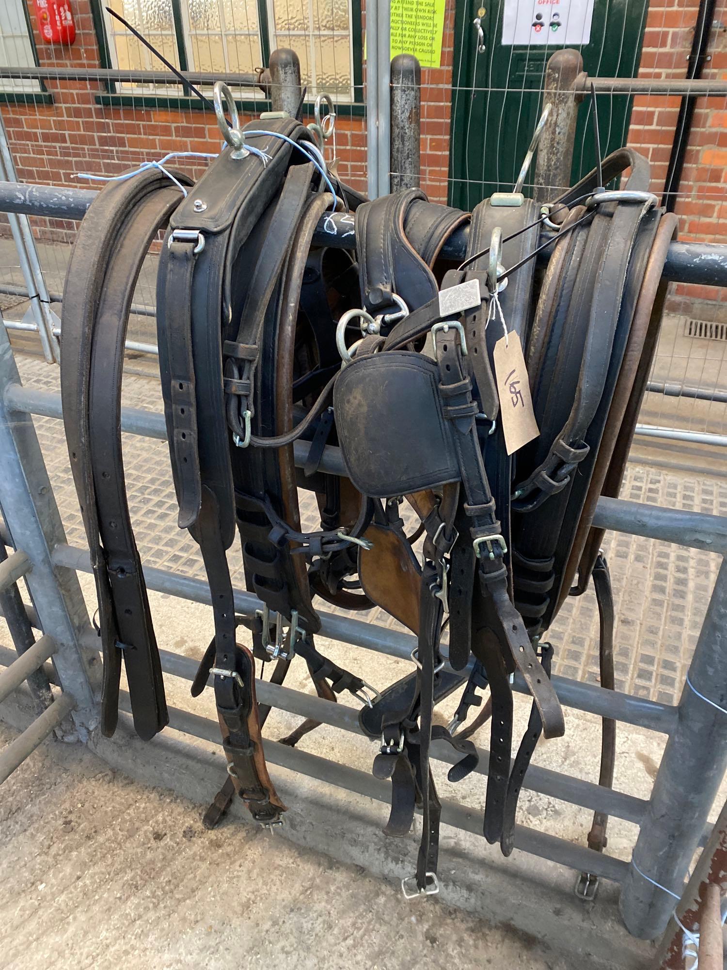 PAIR or Wheeler set of black and brown and white metal full size harness