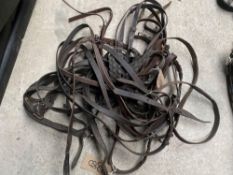 Assorted driving reins