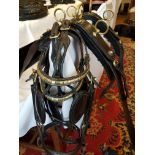 Shetland pony size PAIR set of black English leather breast collar harness
