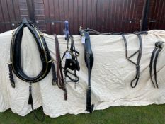 Set of black/patent/brass show harness by Bridleways of Guildford