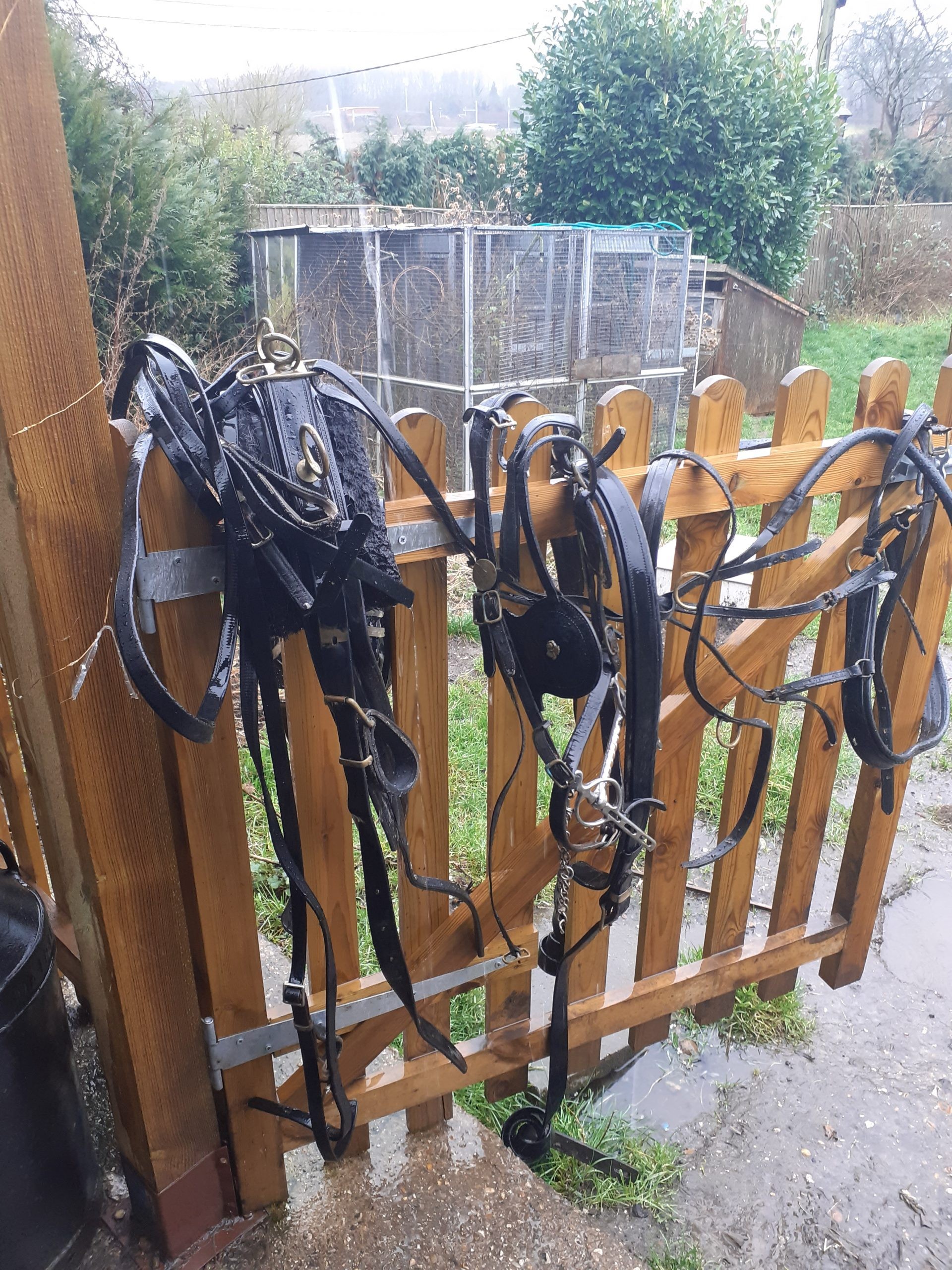 Used set of Top Mark cob size breastcollar harness