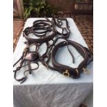 Set of English black leather cob size single harness