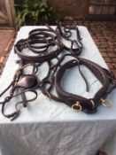 Set of English black leather cob size single harness