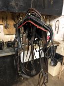 Set of used black leather harness to suit 14.2 to 15.2hh