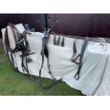 Set of old English top quality brown trade harness