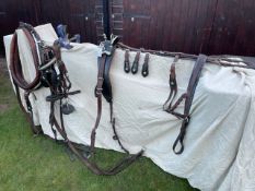 Set of old English top quality brown trade harness