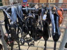 Set of full size black/brass pair harness with breastcollar. This lot carries VAT