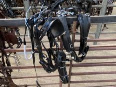 Set of quick hitch cob trotting harness.This lot carries VAT.