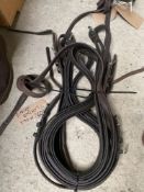 Pair of leather leader reins