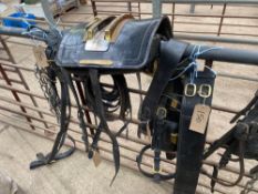 Set of patent single heavy horse harness with brass plaque