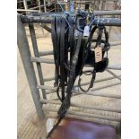 Set of English Black Leather Harness with Brass Fittings, made by Bridleways of Guildford.