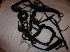 Complete set of Tedman harness to fit 15 hh