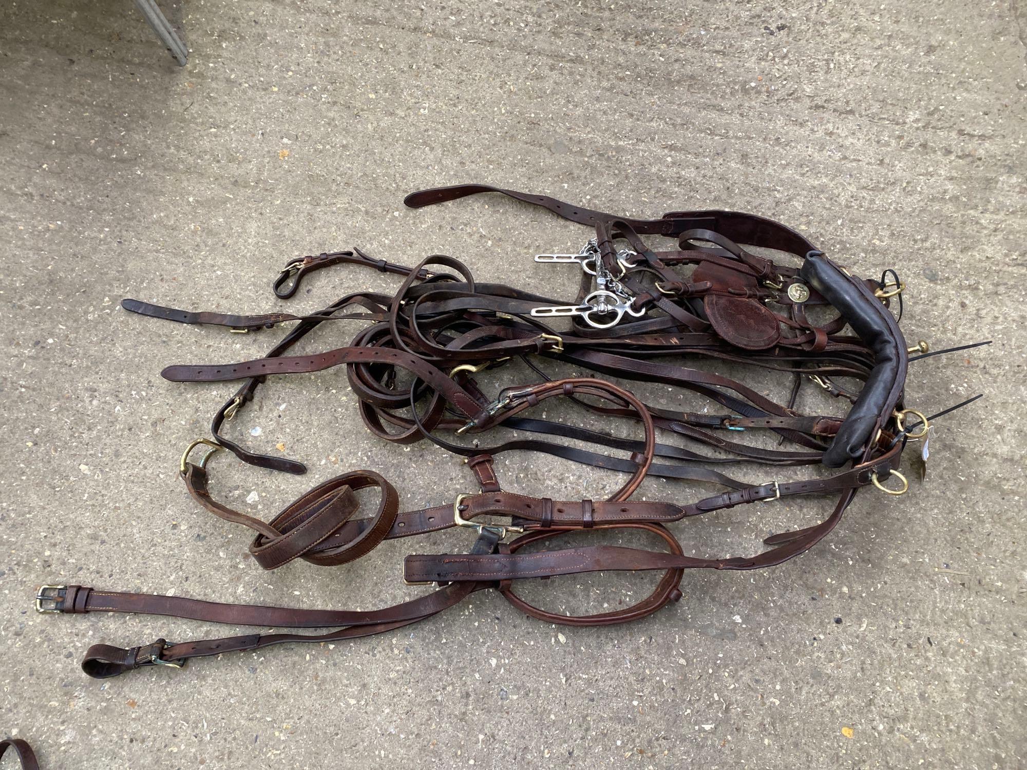 Set of English brown/brass PAIR harness. This lot carries VAT. - Image 3 of 3