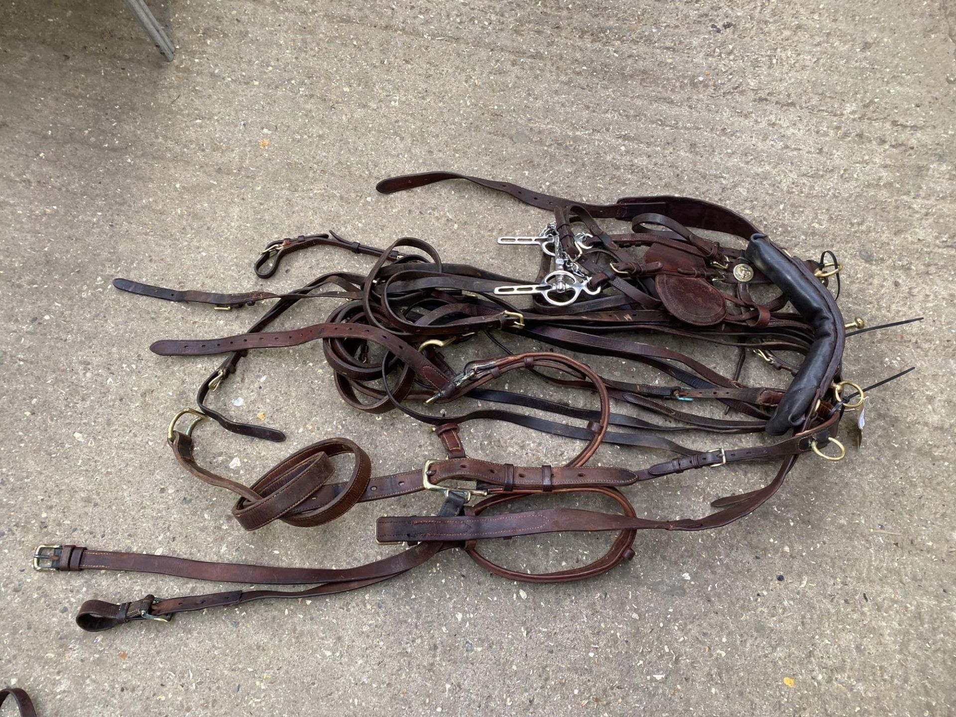 Set of English brown/brass PAIR harness. This lot carries VAT. - Bild 3 aus 3